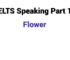 (Update 2026) IELTS Speaking Part 1 Topic Flowers